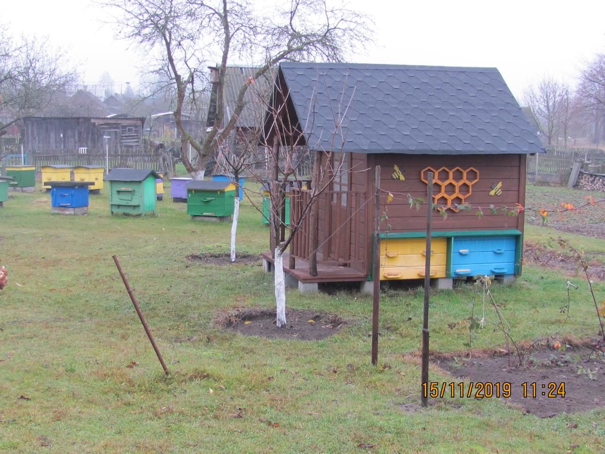 Дома для отпуска Под липами в Дмитровичах Dmitrovichi