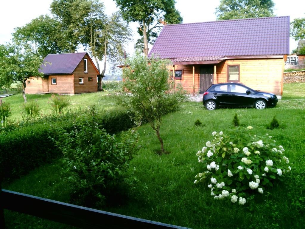 Дома для отпуска Под липами в Дмитровичах Dmitrovichi