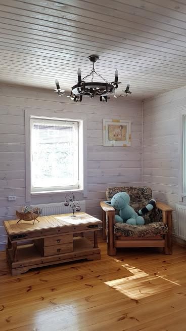 Дома для отпуска Под липами в Дмитровичах Dmitrovichi