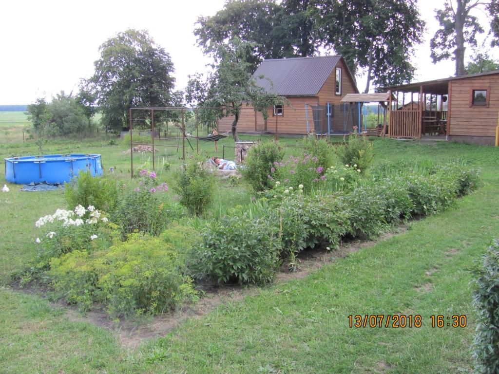 Дома для отпуска Под липами в Дмитровичах Dmitrovichi