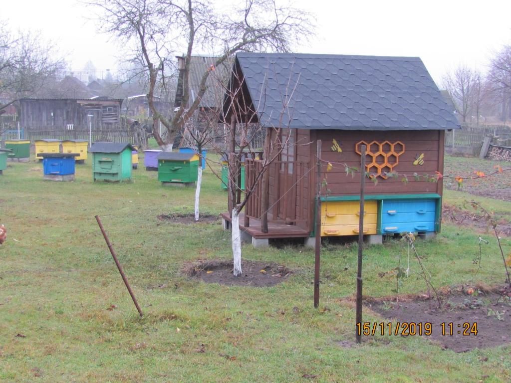 Дома для отпуска Под липами в Дмитровичах Dmitrovichi