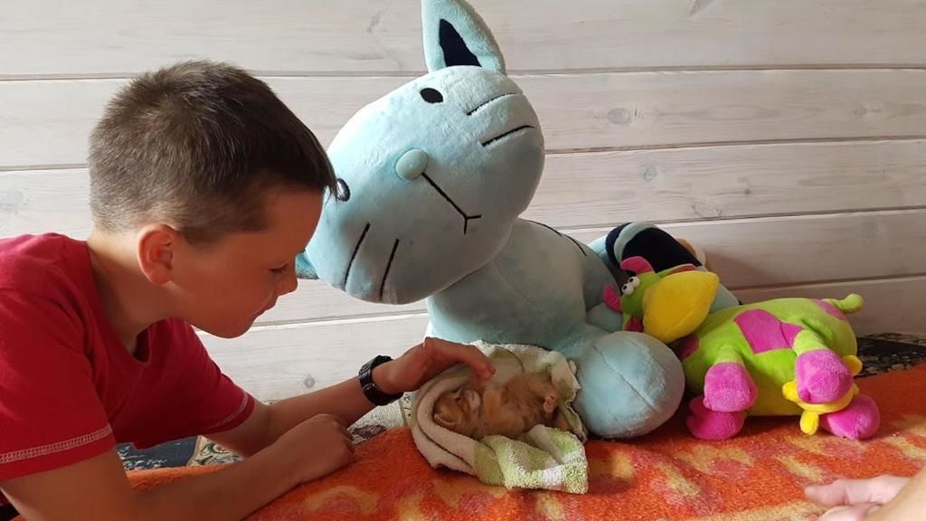 Дома для отпуска Под липами в Дмитровичах Dmitrovichi