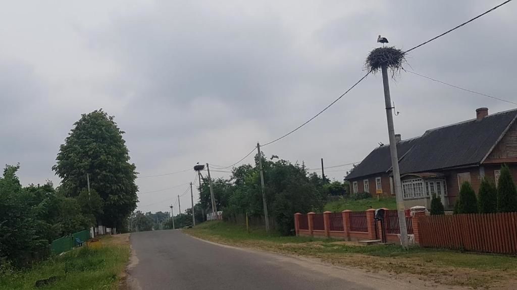 Дома для отпуска Под липами в Дмитровичах Dmitrovichi